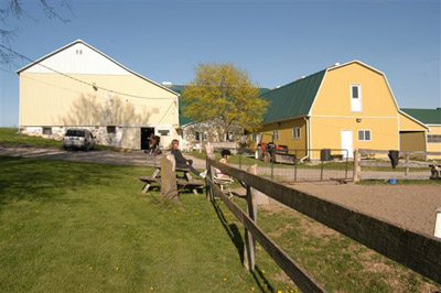 The barn                           