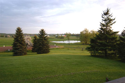 The view over the outdoor sand ring