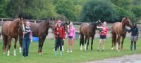 oc2010groupofhorsenrider