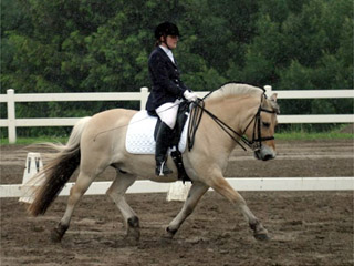Lori and <i>Prisco</i>