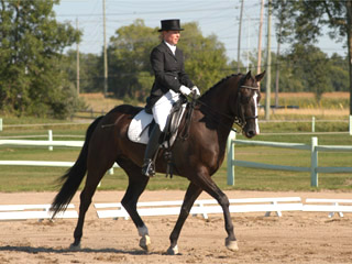 Meredith and <i>Q</i>